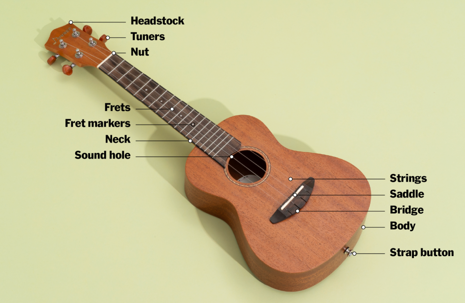 Anatomy of Ukulele Strings