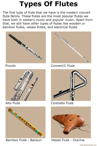 Types of Flute