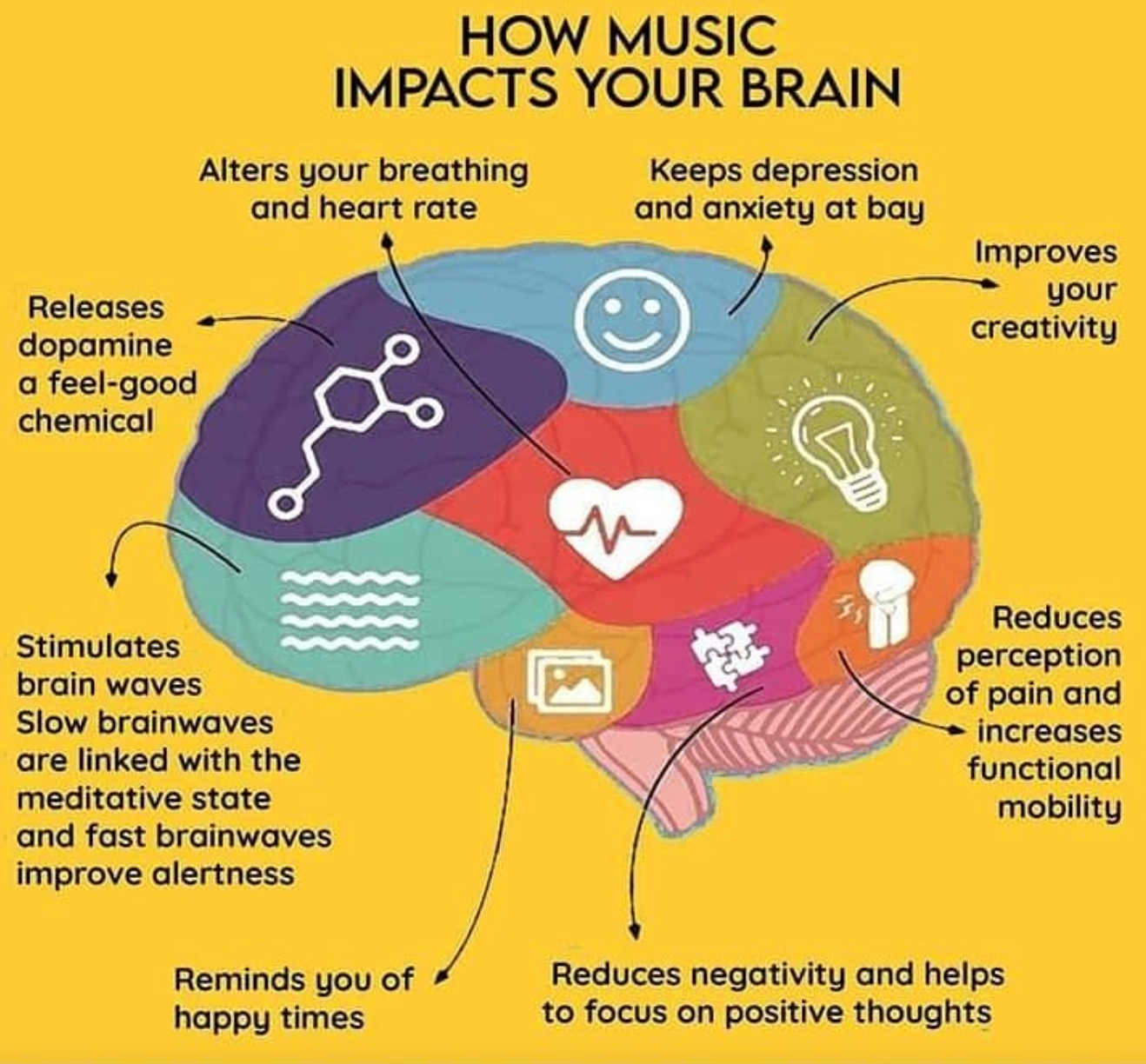 How Music Affects the Brain