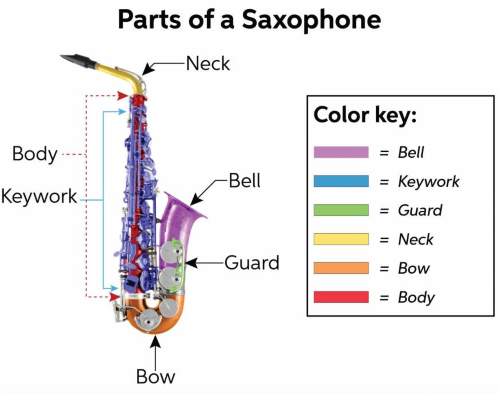 Parts of the Saxophone