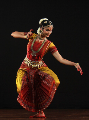 Bharatanatyam Costumes
