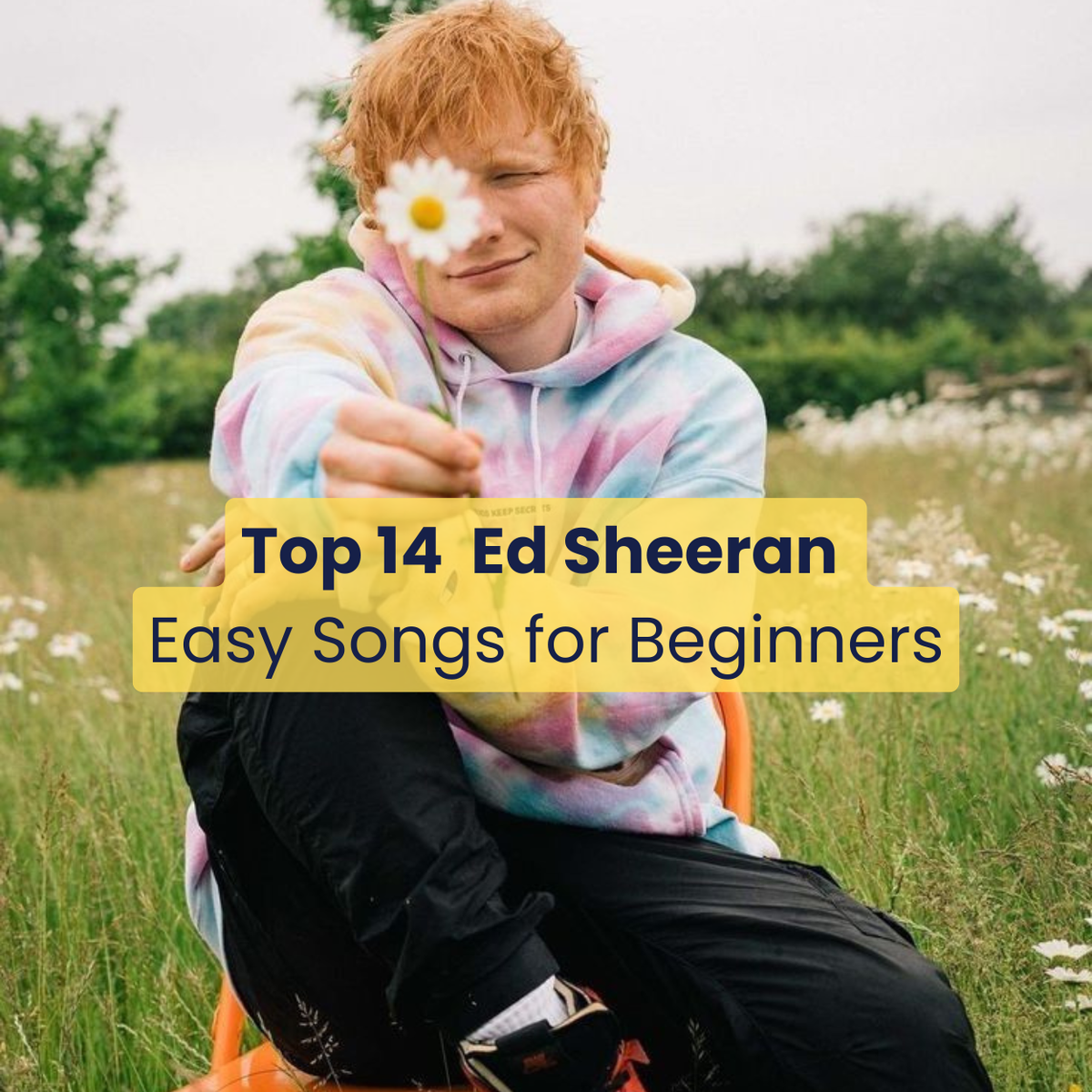 Top 14 Easy Ed Sheeran Songs for Beginners (Guitar, Piano & Vocals)