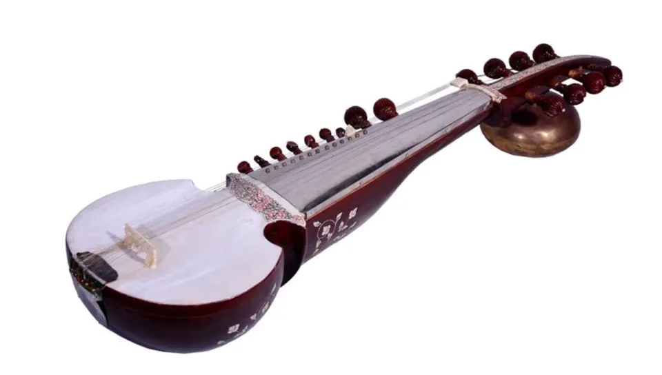 Sarod - Indian Musical Instruments