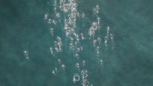 Galeria: Copa Nordeste Salvador