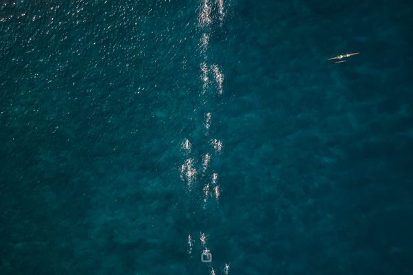Ho’ala  Open Water Swim: Pâmella e Fellipe Santos são melhores brasileiros