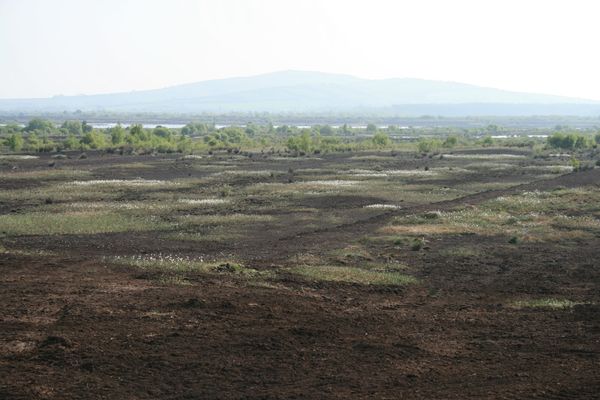 Bog Communism