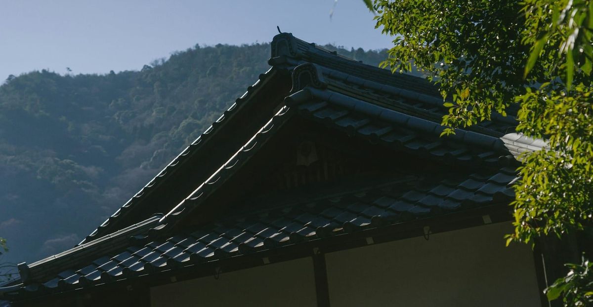 Discovering Ikigai as a Team