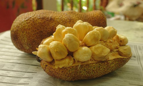 gizi-buah-cempedak-dan-manfaatnya