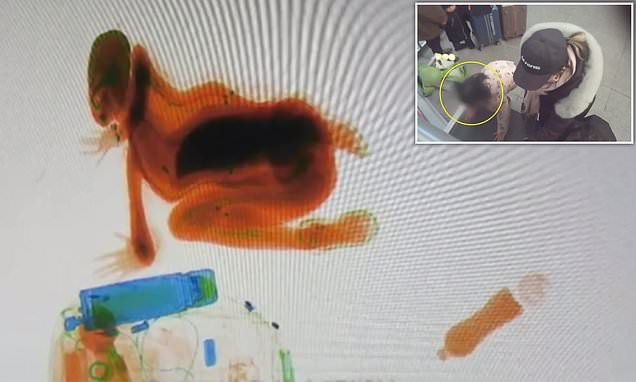 മാതാപിതാക്കളുടെ  കണ്ണുവെട്ടിച്ച് സ്‌കാനറിൽ  കയറി  അഞ്ചുവയസ്സുകാരിയുടെ കുസൃതി; വീഡിയോ  വൈറൽ  ആകുന്നു