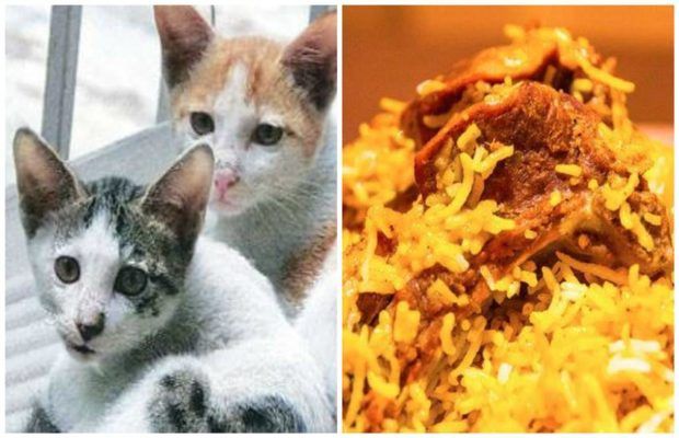 ചെന്നൈ തെരുവുകളിൽ നിന്ന് ബിരിയാണി വാങ്ങി കഴിക്കുമ്പോൾ ഒന്ന് സൂക്ഷിച്ചോളൂ.