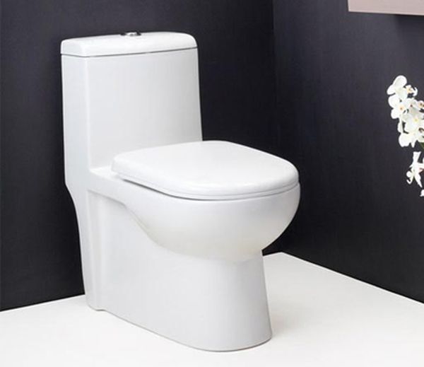 ഈ ക്ലോസറ്റ് ഉപയോഗിച്ചാല്‍ നിങ്ങള്‍ ഒന്നും ചെയ്യണ്ട; വീഡിയോ കണ്ടു നോക്കൂ