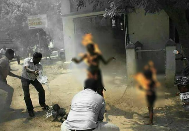 ചിത്രശലഭത്തിന്റെ ചിറകുകള്‍ കരിഞ്ഞു വീഴുന്നത് കണ്ടിട്ടുണ്ടോ ?