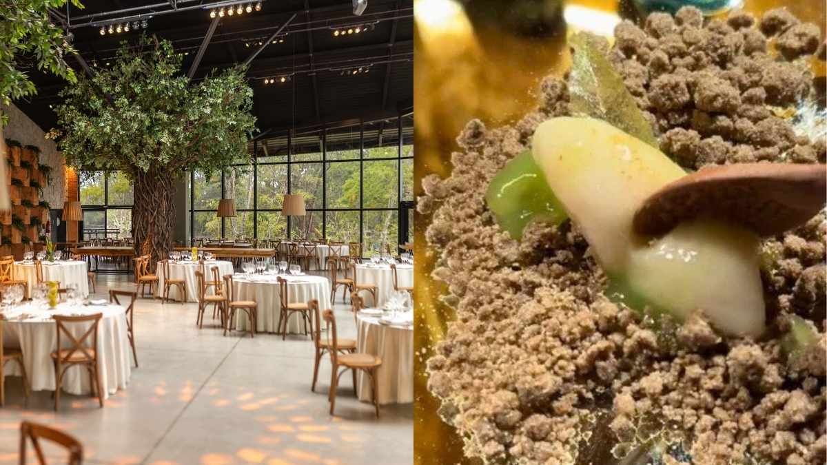 ഇങ്ങനെയുമുണ്ടോ ഫ്യൂഷന്‍..! 45,000 രൂപയുടെ ഭക്ഷണം, വിളമ്പുന്നത് ആനപിണ്ടത്തില്‍ നിന്നുണ്ടാക്കിയ ഡെസേര്‍ട്ട്