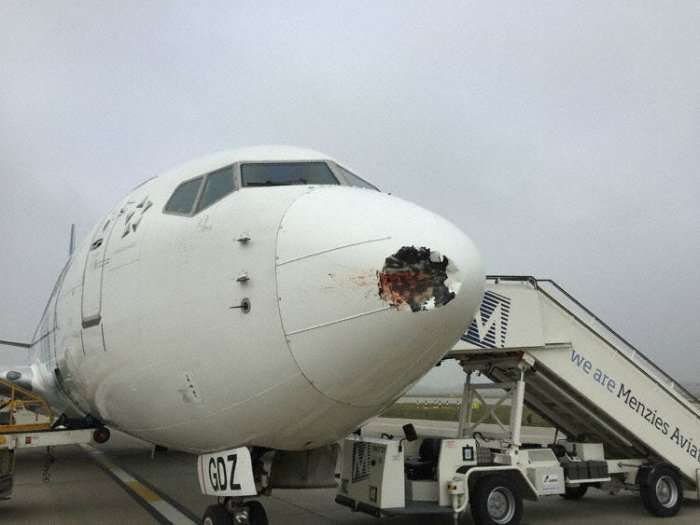 ഒരു പക്ഷി ഇടിച്ചാല്‍ വിമാനത്തിന് എന്ത് സംഭവിക്കുമെന്ന് ഇതാ കണ്ടോളൂ