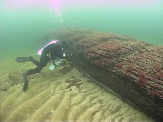 കടലിനടിയില്‍ 60,000 വര്ഷം പഴക്കമുള്ള കൊടുംകാട്