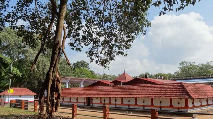 ലൊഹാനകളുടെ ലോകനാർകാവ്