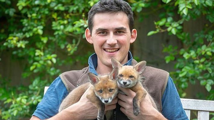 മരിച്ച അമ്മക്കുറുക്കന്‍റെ വയര്‍ കീറി കുഞ്ഞുങ്ങളെ പുറത്തെടുത്തു;  അവർക്ക് പുനർജ്ജന്മം നൽകി; മാതൃകയായി  ഈ ഇരുപത്തിനാലുക്കാരൻ