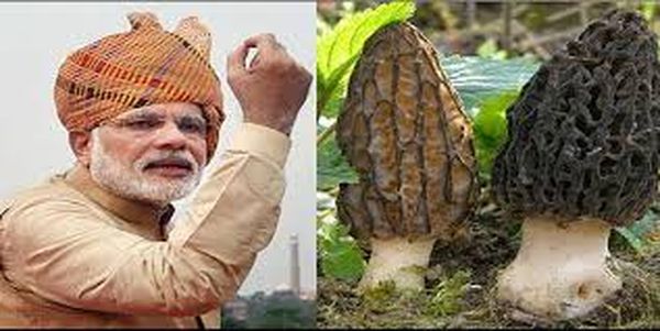 ഇതാണ് മോഡി കഴിക്കുന്ന 30000 രൂപയുടെ കൂൺ