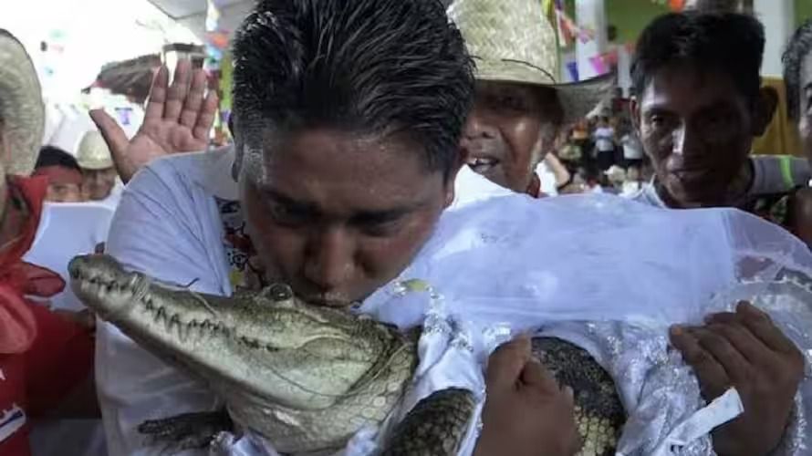 മുതലയെ വിവാഹം ചെയ്ത് മേയർ