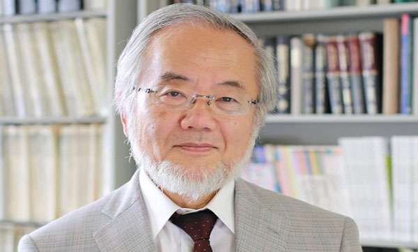 വൈദ്യശാസ്ത്ര നൊബേല്‍ യോഷിനോരി ഓഷുമിക്ക്