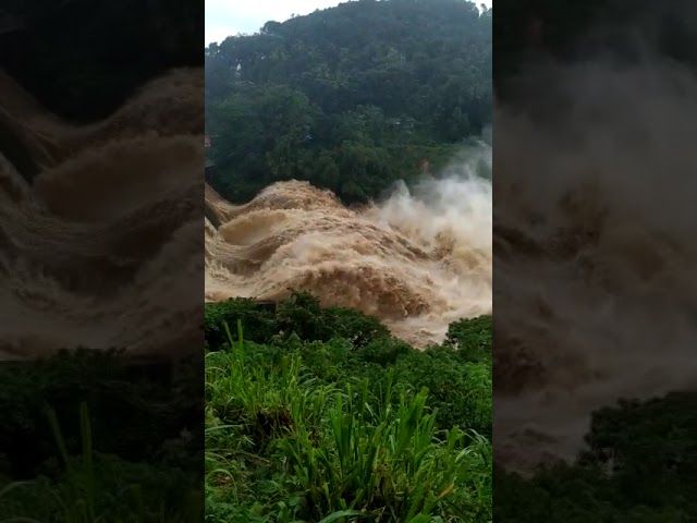 ശക്തമായ മഴ തുടരുന്നു... പന്ത്രണ്ട് ഡാമുകള്‍ തുറന്നു