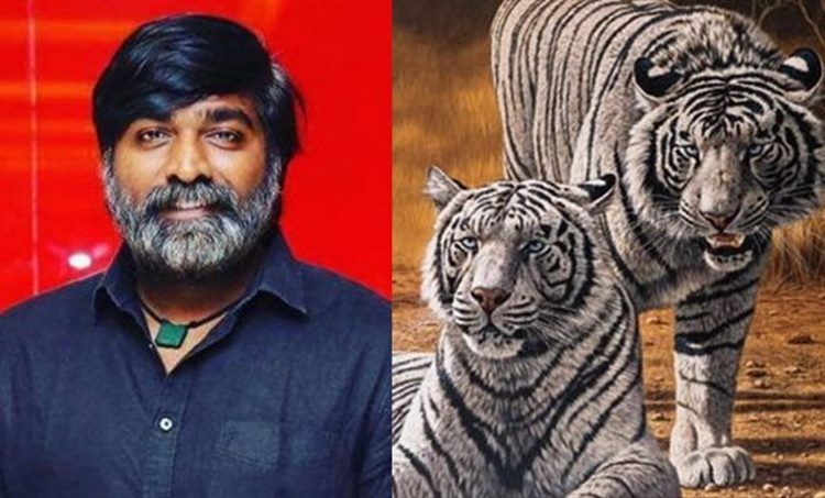 വെള്ളക്കടുവകളെ ദത്തെടുത്ത് മക്കൾ സെൽവൻ വിജയ് സേതുപതി