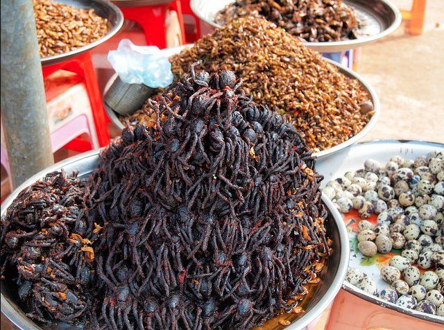 വറുത്ത എലി, വേവിക്കാത്ത നീരാളി, പൊരിച്ച ചിലന്തി, സ്രാവിന്റെ പുളിപ്പിച്ച മാംസം; ഇതാണ് ഈ നാട്ടുകാരുടെ വിചിത്രമായ ഭക്ഷണങ്ങള്‍