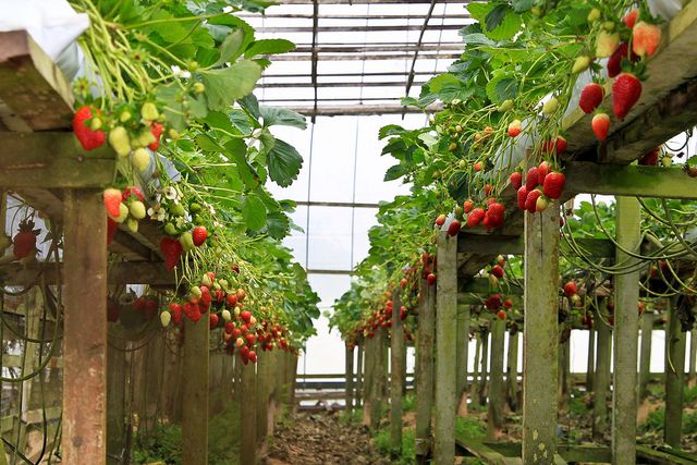 മലേഷ്യയിൽ പോകുന്പോൾ ഇതൊന്നും മിസ് ചെയ്യല്ലേ….