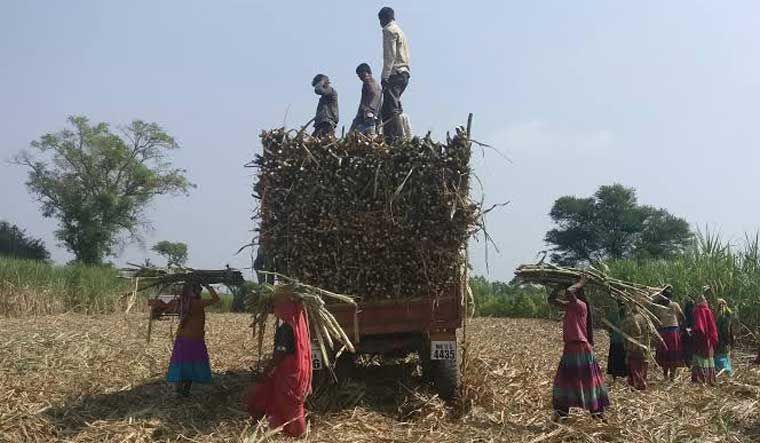 ശമ്പളം നഷ്ടമാകാതിരിക്കാൻ മഹാരാഷ്ട്രയില്‍ ഗര്‍ഭപാത്രം നീക്കിയത് 30000 പേര്‍; സ്ത്രീകളുടെ ദുരവസ്ഥ കാണിച്ച് മുഖ്യമന്ത്രിക്ക് കത്ത്