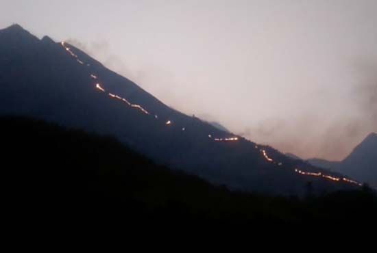 തേനിയിലെ കാട്ടുതീയില്‍ മരണപ്പെട്ടവരുടെ സംഖ്യ 12 ആയി; ഇത്ര വലിയ ട്രെക്കിംഗ് സംഘത്തിന് അനുമതി ഉണ്ടായിരുന്നോ ?