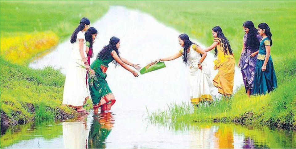 പാടം പൂത്തകാലം...