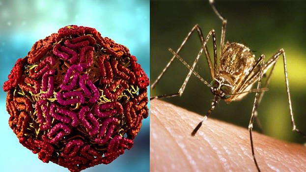 വെസ്റ്റ് നൈല്‍ പനി;  ചികിത്സയിലായിരുന്ന ആറ് വയസ്സുകാരന്‍ മരിച്ചു