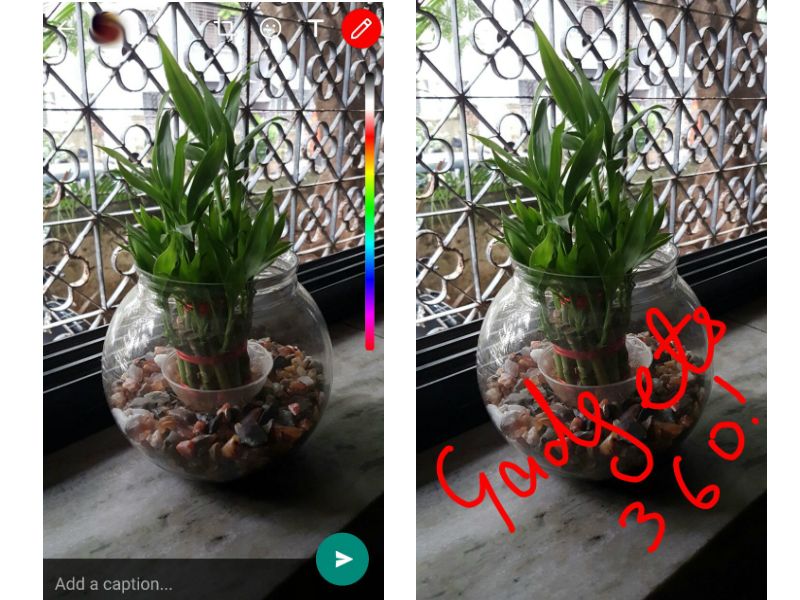 വാട്സ് ആപ്പിലെ ഈ പുതിയ ഫീച്ചര്‍ ശ്രദ്ധിച്ചോ?