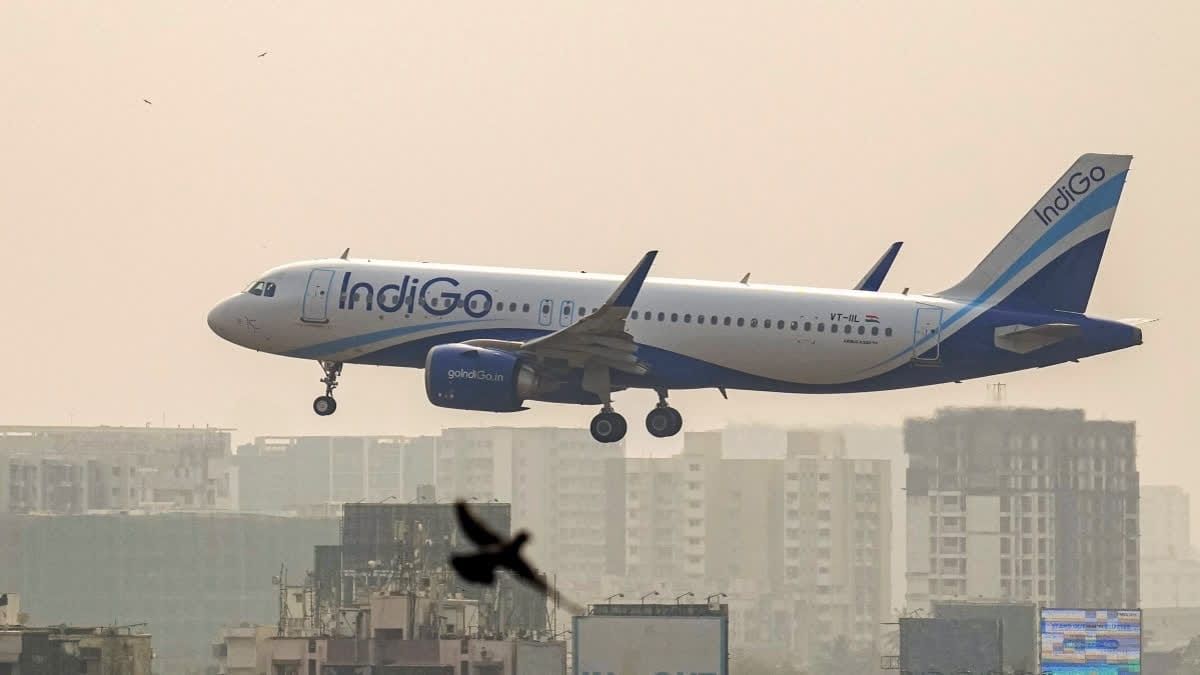 IndiGo crisis: DGCA sets up 8-member oversight team; 2 members to be deployed at airline's corporate office