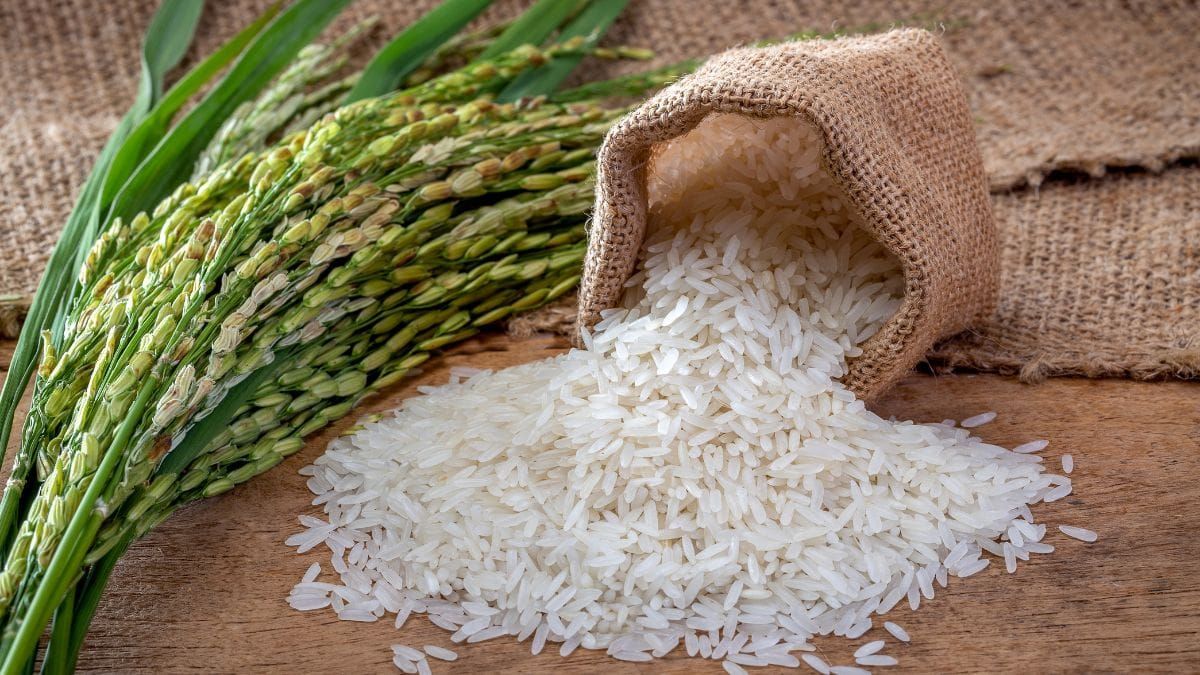 India becomes world's largest rice producer, surpasses China