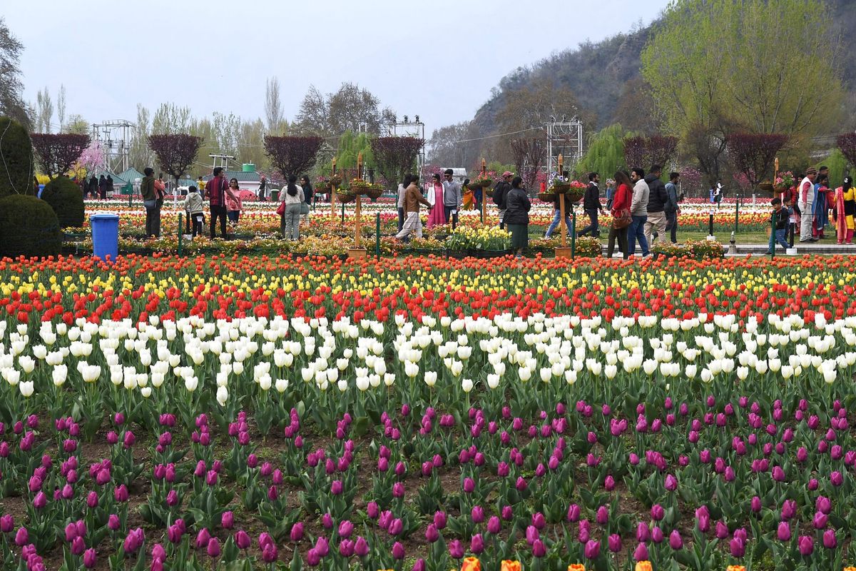 Omar Abdullah throws open Asia's largest tulip garden in Srinagar for visitors