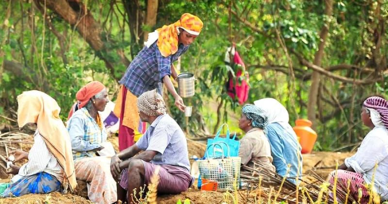 താെഴിലുറപ്പ് ഇനി 'വിബിജി റാം ജി'; പദ്ധതി ഇന്ന് മുതൽ പ്രാബല്യത്തിൽ