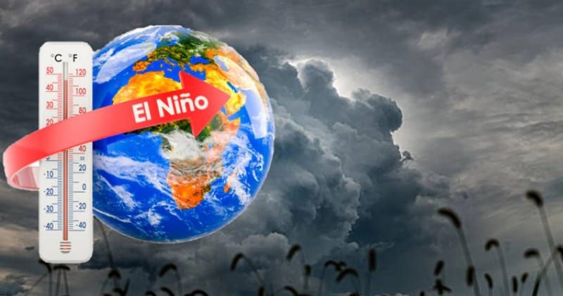 WMO says El Nino to persist through Feb 2027: What it means for India