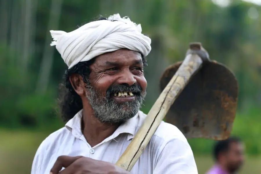 വിത്തുപൊതിഞ്ഞ വിരലുകൾ, വിണ്ടുകീറാത്ത ഓർമ്മകൾ