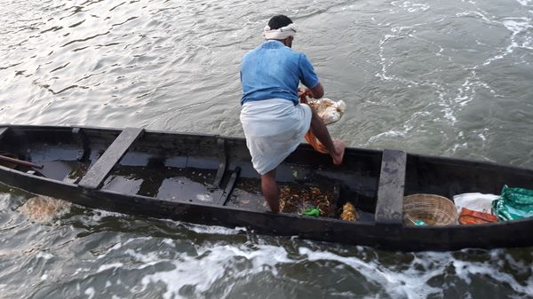 കൈപാടും മത്സ്യ കൃഷിയും