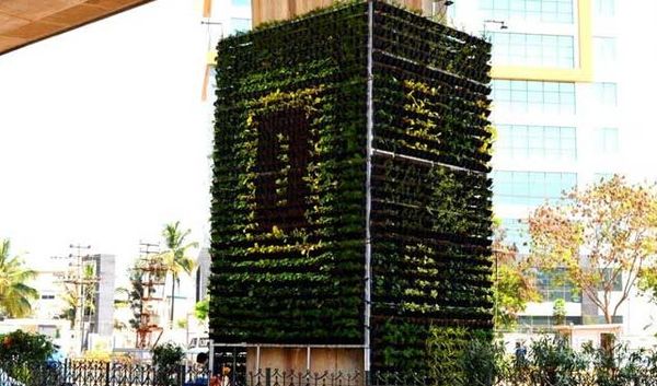 ചൈനയില്‍ മാത്രമല്ല നമ്മുടെ ബാംഗ്ലൂരിലും ഉണ്ട് വെ​ർ​ട്ടി​ക്ക​ൽ ഗാ​ർ​ഡന്‍