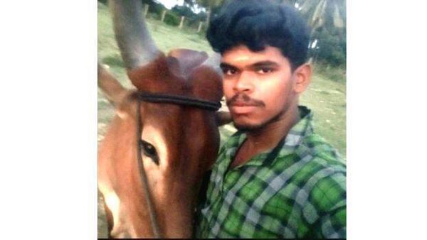 കാളയോടൊപ്പം കുളത്തിൽ ടിക് ടോക് വീഡിയോ ഷൂട്ട്;  യുവാവ് മുങ്ങി മരിച്ചു