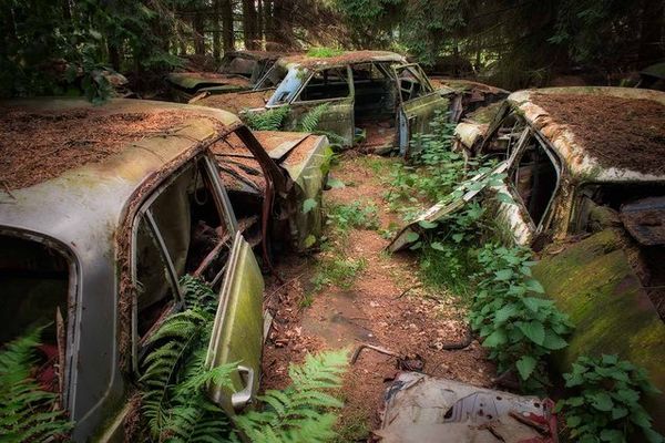 72 വര്‍ഷങ്ങള്‍ക്ക് മുന്പ് പോയ ഉടമകളെ കാത്ത് കാറുകളുടെ ഒരു സ്മശാനം