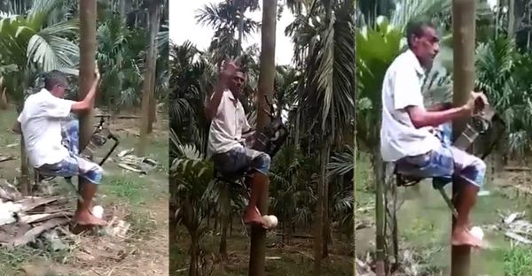 തെങ്ങുകയറാൻ  ഇനി ബൈക്കും!; വീഡിയോ വൈറൽ