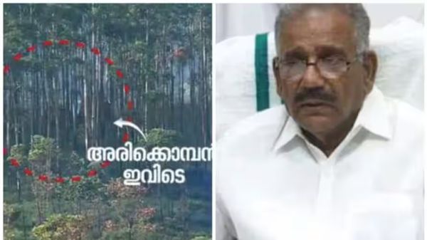 അരിക്കൊമ്പൻ ദൗത്യം ഇന്ന് തന്നെ ലക്ഷ്യത്തിലെത്തും, കാലാവസ്ഥ അനുകൂലം: എ.കെ. ശശീന്ദ്രൻ