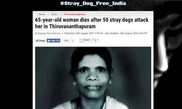 തെരുവ് നായ്‌ പ്രശ്നം ;കേന്ദ്രമന്ത്രി മേനക ഗാന്ധിയുടെ വെബ്‌സൈറ്റ് ഹാക്ക്‌ ചെയ്തു