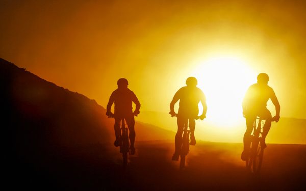 സൈക്കിൾ ചവിട്ടിക്കോളൂ… അർബുദം അകറ്റാം