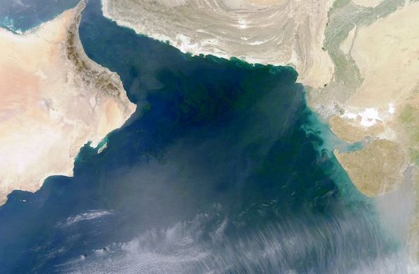 ലോകത്തിലെ ഏറ്റവും വലിയ 'മരണ വലയം' അറേബ്യന്‍ സമുദ്രത്തില്‍ രൂപം കൊള്ളുന്നു