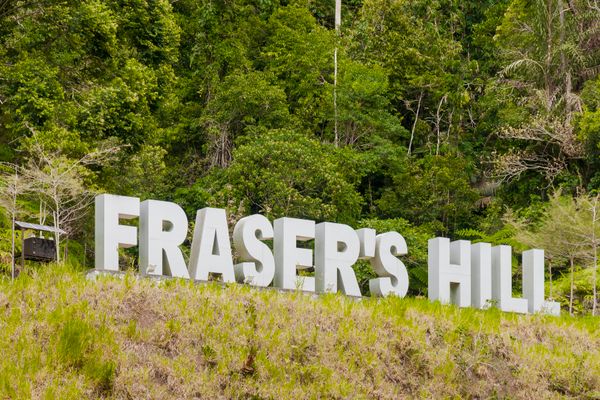 പച്ചപ്പിന്റെ വാതിൽ തുറന്ന് ഫ്രേസേഴ്‌സ് ഹില്‍സ്