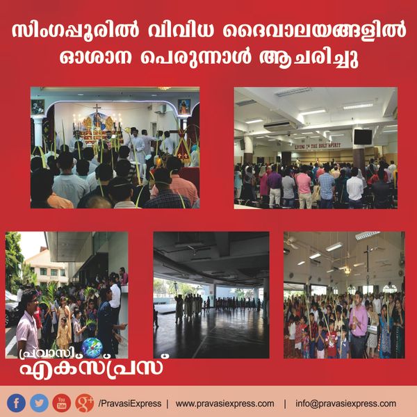സിംഗപ്പൂരിലെ വിവിധ ക്രൈസ്തവ ദൈവാലയങ്ങളില്‍ ഓശാനപ്പെരുന്നാള്‍ ആചരിച്ചു